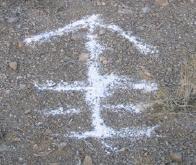 Hare Arrow Hare Arrow