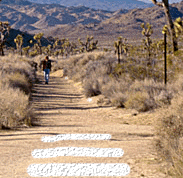 false trail example
