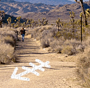 true trail example